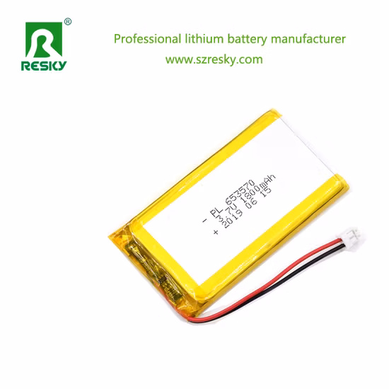 Rechargeable Battery LiFePO4 Battery Solar Battery Bluetooth Speaker Battery